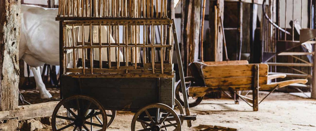Ein Hühnerwagen und eine Schubkarre im Dithmarscher Bauernhaus