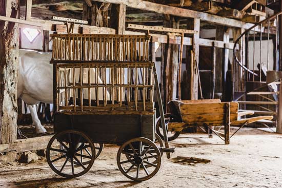 Hühnerwagen und Schubkarren in der Diele im Dithmarscher Bauernhaus