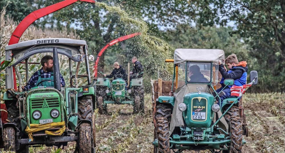 Die Alttraktorenfreunde Westküste e. V. bei der historischen Maisernte